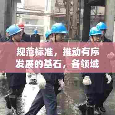规范标准,推动有序发展的基石,各领域实现稳步前行