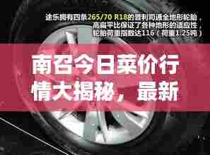 南召今日菜价行情大揭秘，最新动态一网打尽！