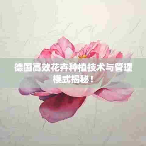 德国高效花卉种植技术与管理模式揭秘!