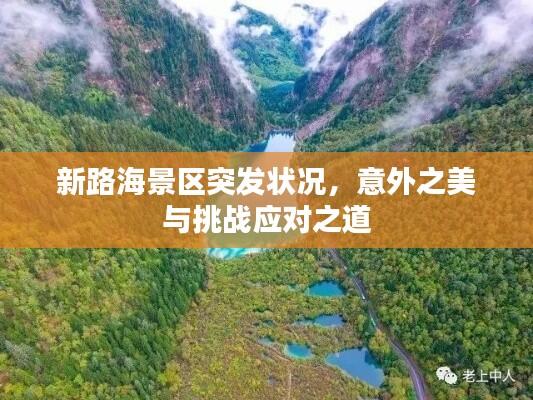 新路海景区突发状况，意外之美与挑战应对之道