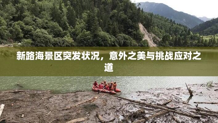 新路海景区突发状况,意外之美与挑战应对之道