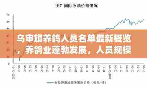 乌审旗养鸽人员名单最新概览,养鸽业蓬勃发展,人员规模持续扩大