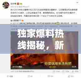 独家爆料热线揭秘，新闻背后的真相浮出水面