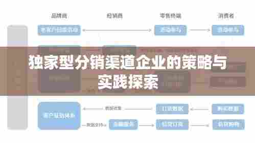独家型分销渠道企业的策略与实践探索