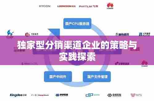 独家型分销渠道企业的策略与实践探索