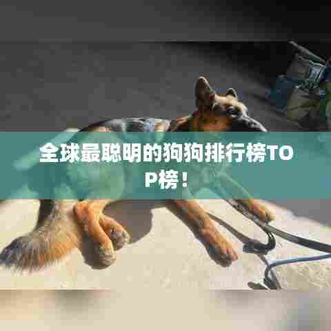 标新创异 第6页