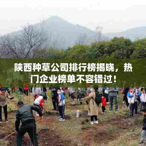 陕西种草公司排行榜揭晓,热门企业榜单不容错过!