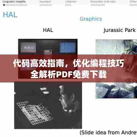 代码高效指南，优化编程技巧全解析PDF免费下载