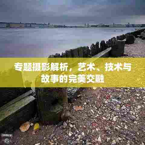专题摄影解析，艺术、技术与故事的完美交融