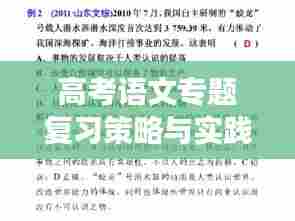 高考语文专题复习策略与实践，打造高效复习课堂