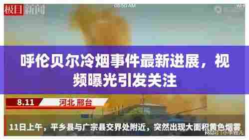 呼伦贝尔冷烟事件最新进展，视频曝光引发关注