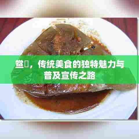 鲎粿，传统美食的独特魅力与普及宣传之路