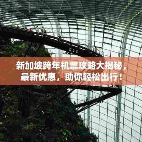 新加坡跨年机票攻略大揭秘,最新优惠,助你轻松出行!