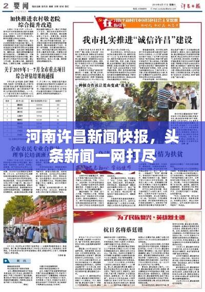 河南许昌新闻快报,头条新闻一网打尽