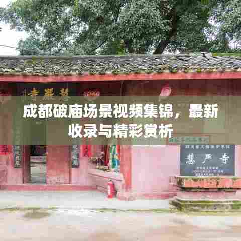 成都破庙场景视频集锦，最新收录与精彩赏析