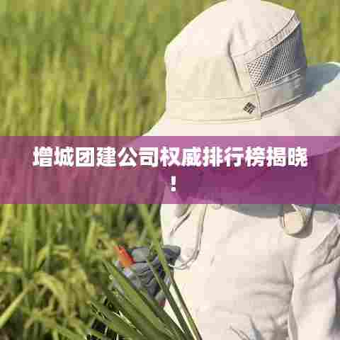 增城团建公司权威排行榜揭晓！