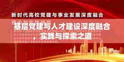 基层党建与人才建设深度融合，实践与探索之道