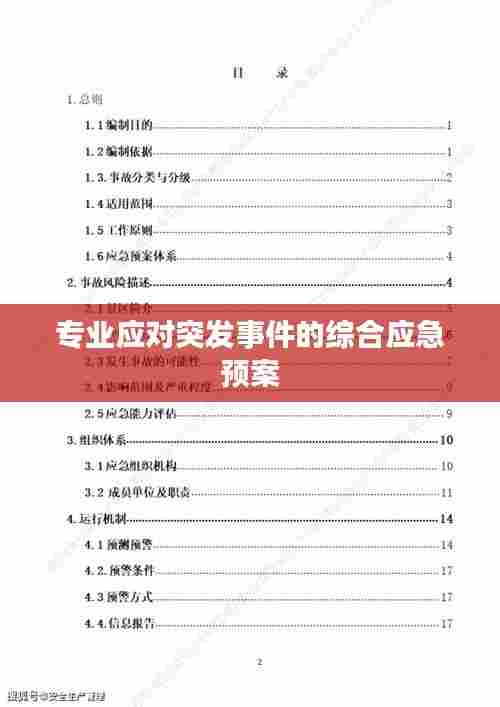 专业应对突发事件的综合应急预案