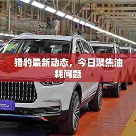 猎豹最新动态，今日聚焦油耗问题
