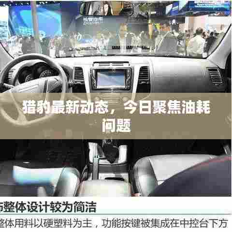 猎豹最新动态,今日聚焦油耗问题