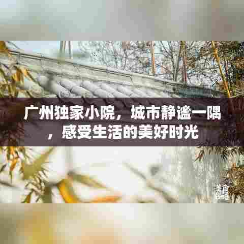 广州独家小院，城市静谧一隅，感受生活的美好时光