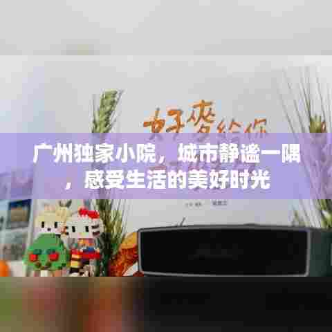 广州独家小院,城市静谧一隅,感受生活的美好时光