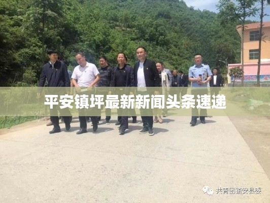 平安镇坪最新新闻头条速递