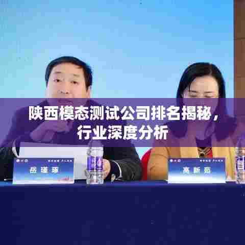 陕西模态测试公司排名揭秘，行业深度分析