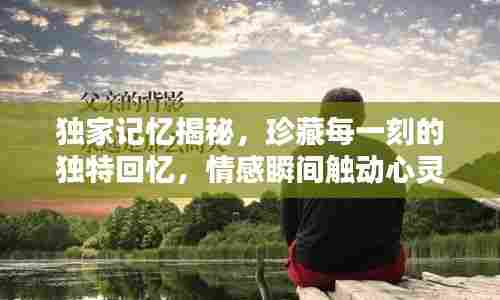 独家记忆揭秘，珍藏每一刻的独特回忆，情感瞬间触动心灵