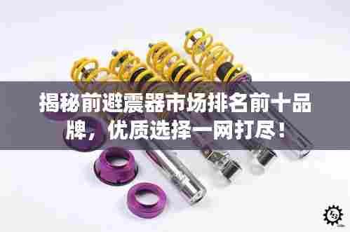揭秘前避震器市场排名前十品牌,优质选择一网打尽!