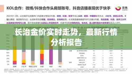 长治金价实时走势,最新行情分析报告