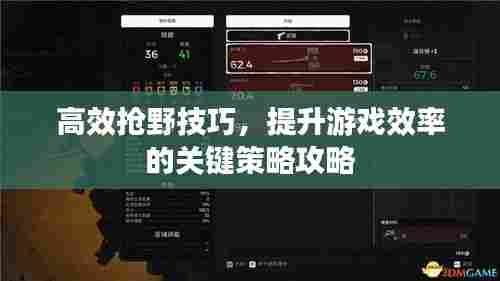 高效抢野技巧，提升游戏效率的关键策略攻略
