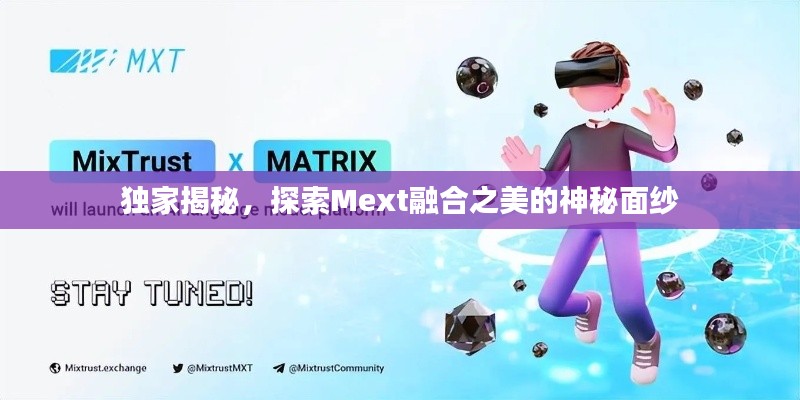 独家揭秘，探索Mext融合之美的神秘面纱
