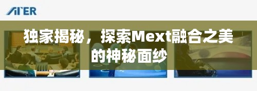 独家揭秘,探索Mext融合之美的神秘面纱