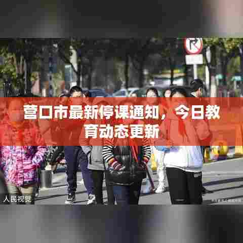营口市最新停课通知，今日教育动态更新