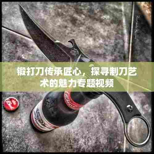锻打刀传承匠心,探寻制刀艺术的魅力专题视频