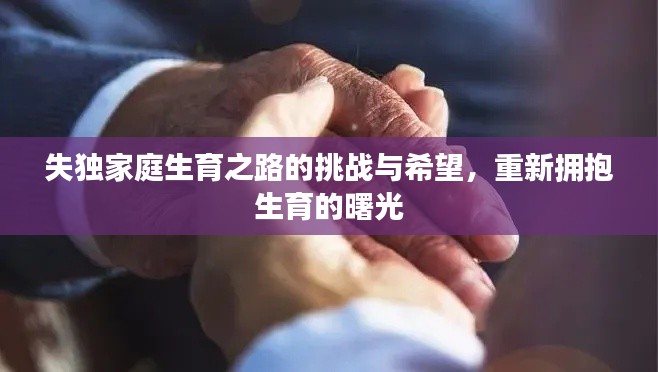 失独家庭生育之路的挑战与希望，重新拥抱生育的曙光