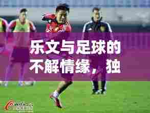 乐文与足球的不解情缘,独家射门揭秘!