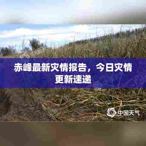 赤峰最新灾情报告,今日灾情更新速递