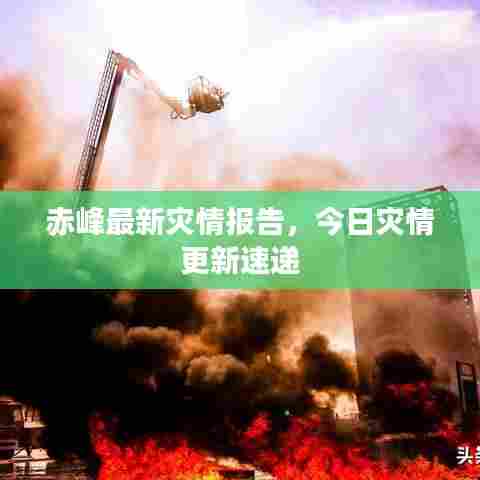 赤峰最新灾情报告,今日灾情更新速递