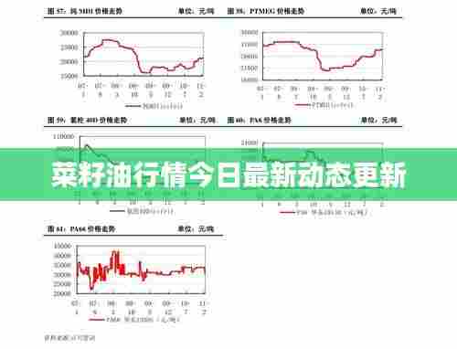菜籽油行情今日最新动态更新