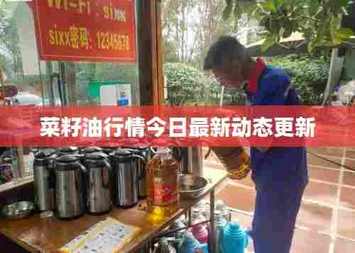 菜籽油行情今日最新动态更新