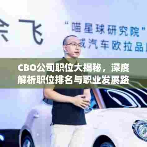CBO公司职位大揭秘，深度解析职位排名与职业发展路径