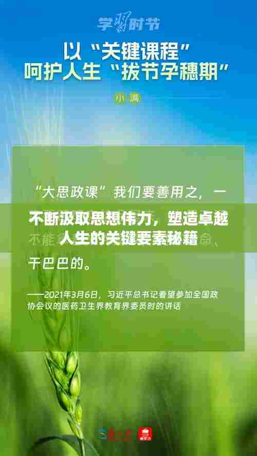 不断汲取思想伟力，塑造卓越人生的关键要素秘籍