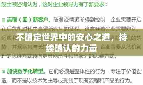 不确定世界中的安心之道，持续确认的力量