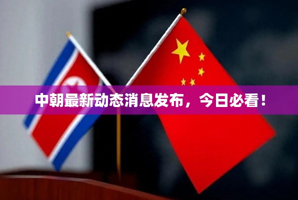 中朝最新动态消息发布,今日必看!