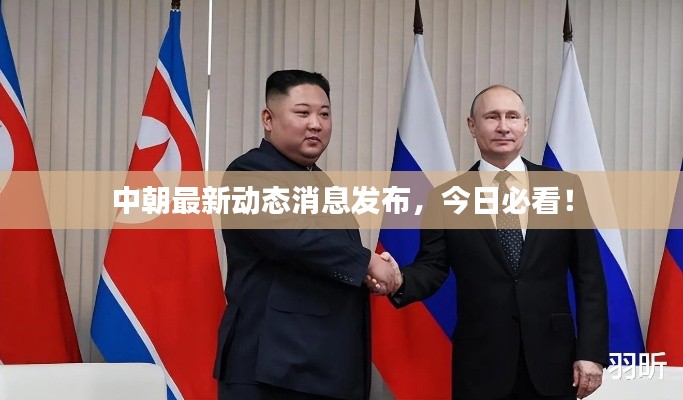 中朝最新动态消息发布,今日必看!