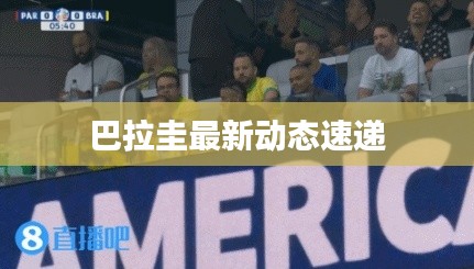 巴拉圭最新动态速递