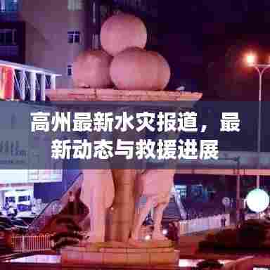 高州最新水灾报道，最新动态与救援进展