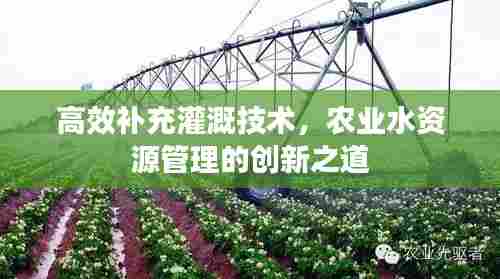 高效补充灌溉技术,农业水资源管理的创新之道